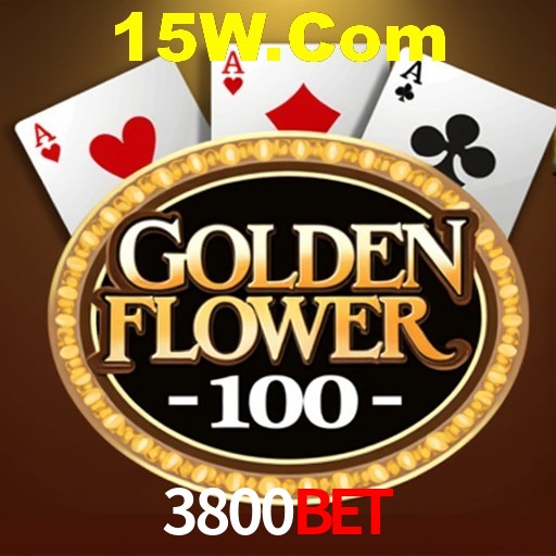 Apostas Esportivas na 3800Bet: Um Guia Completo